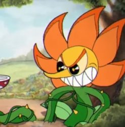 Cagney Carnation Final Meme Template