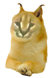 Doge Floppa V1 Meme Template