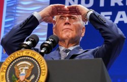 Joe Biden Looking For Jackie Meme Template
