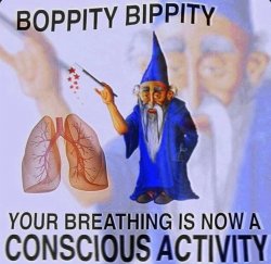 Your breathing is now a conscious activity Meme Template