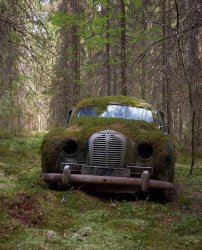 Abandoned Car In The Woods Meme Template