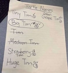 Turtle names Meme Template
