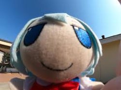 cirno fumo forehead Meme Template