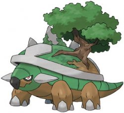 Torterra Meme Template