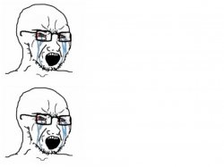 Double crying wojak Meme Template