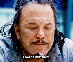 "I WANT MY BIRD", IRON MAN, WHIPLASH Meme Template