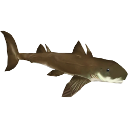 Cladoselache Meme Template