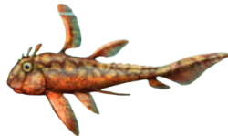 Echinochimaera Meme Template