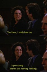 SEINFELD, ELAINE, "I HATE MY _____" Meme Template