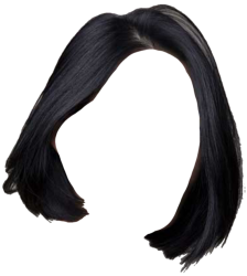 wig Meme Template