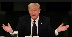 in conclusion your honor Meme Template