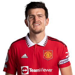 Harry maguire Meme Template