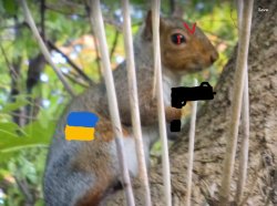 ukraine squrrle Meme Template