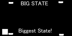 Big state license plate Meme Template