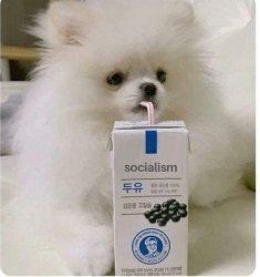 Socialism Meme Template