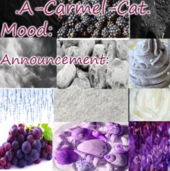 .A-Carmel-Cat. Ace Announcement Meme Template