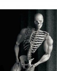 Chad skeletons Meme Template