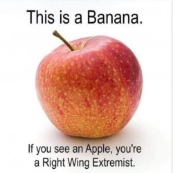 Banana (definitely not an apple) Meme Template