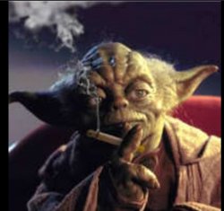 Yoda smoking weed Meme Template