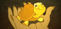 tortuga Meme Template