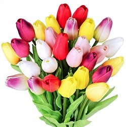 Tulips Meme Template