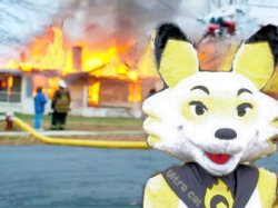 Ember The Fox Burning Building Meme Template