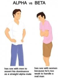 Alpha vs. Beta male Meme Template