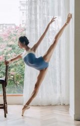 Suyeonan Korean National Ballet Meme Template