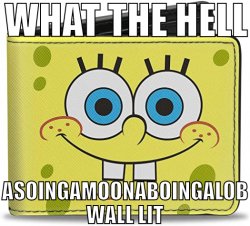 WHAT THE HELL ASOINGAMOONABOINGALOB WALL LIT Meme Template