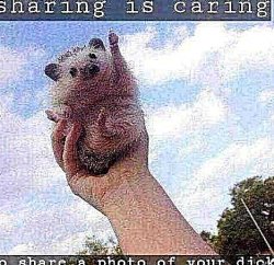 Sharing is caring Meme Template
