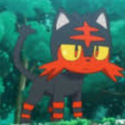 Litten what happen Meme Template