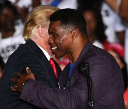 Herschel Walker Trump Republican Pedophiles, liars and rapists Meme Template