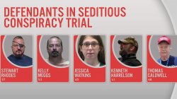 Seditionist traitors violent White Supremacists on Trial Meme Template