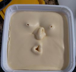 Butterface Meme Template