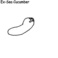 Ex-Sea Cucumber Meme Template