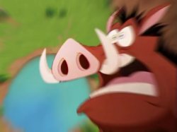 Pumbaa screaming while falling into a pond Meme Template