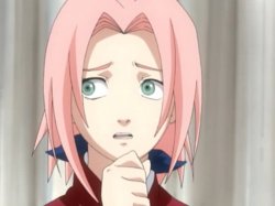 Useless Sakura Meme Template