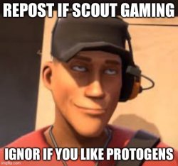 Scout Gaming Meme Template