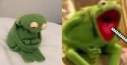 Kermit Screaming Meme Template