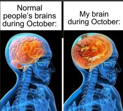 Normal people Brain in oct Meme Template