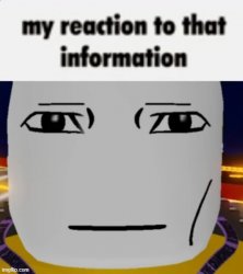my reaction to that information Meme Template