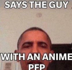 Says the one with a anime pfp Meme Template