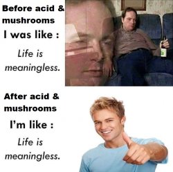 lifeismeaningless Meme Template