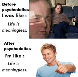 lifeismeaningless Meme Template