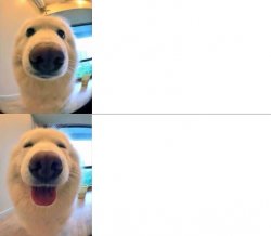 Doggo Meme Template