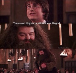 there's no Hogwarts without u Hagrid Meme Template