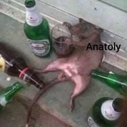 Anatoly. Meme Template