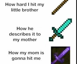 stick,diamond sword,enchated nerite sword Meme Template
