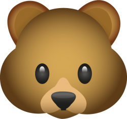 Bear emoji Meme Template