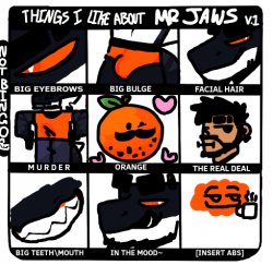 Things I like about mrjaws Meme Template